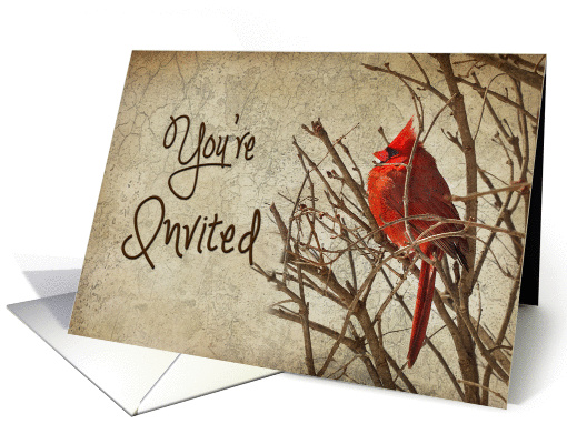 You're Invited - Invitation - Red Cardinal - Branch - Textures card