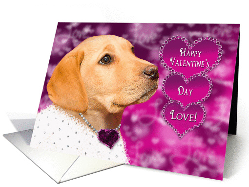 Happy Valentine's Day - Love - Labarador -Purple/Pink Heart card