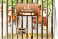 First Birthday Party Invitation, Monkeys Playing in Zoo Cage, Name card