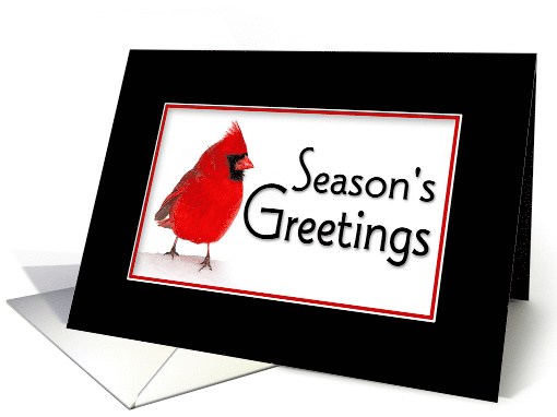 Season's Greetings Red Cardinal with Black Border, Business card