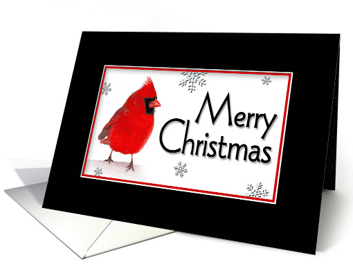 Christmas Red Cardinal in Black Border card (1293094)