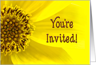 Sunflower - You’re Invited - Macro-Yellow card