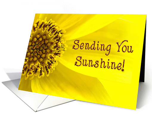 Sending Sunshine - Macro Yellow Flower - Bright card (1325916)