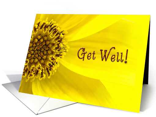 Get Well - Macro Yellow Flower - Bright card (1325920)