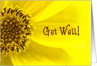 Get Well - Macro...