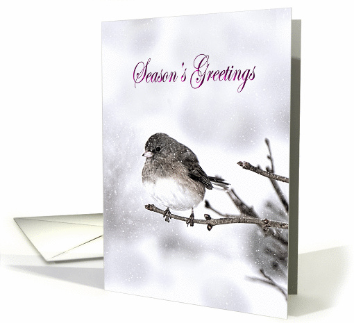 Christmas - Season's Greetings - Bird Perched on Branch/Snow card