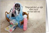 Miss You, Black Terrier Dog, Tangled in Yarn - Humor card