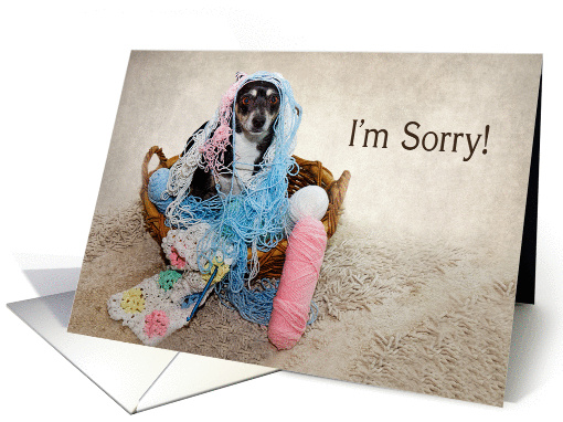 I'M SORRY - Terrier Dog Tangled in Yarn card (1386736)