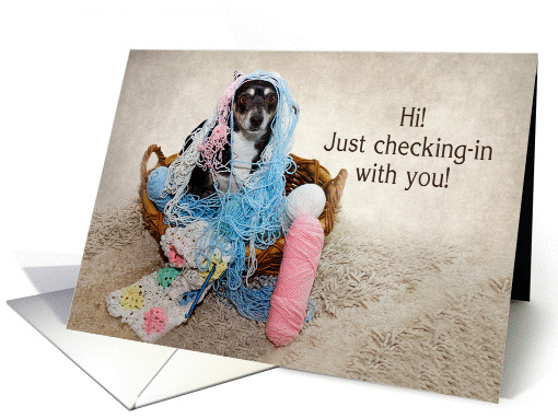 Hi - Terrier Dog Tangled in Yarn - Blank Inside card (1386742)