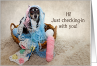 Hi - Terrier Dog Tangled in Yarn - Blank Inside card