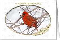 Christmas - To the Both of You - Red Cardinal/Snowing card