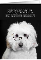 I’m Sorry, Dog Wearing Black-rim Glasses,Humor card