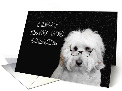 Thank You, Dog Looking Concerned Wearing Glasses, Blank Inside card
