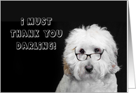 Thank You, Dog Looking Concerned Wearing Glasses, Blank Inside card