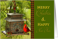 Christmas & New Year - Red Cardinal on Pagoda Bird Feeder card