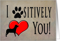 Birthday - I Positively Love You - From Pet to Owner - Paw Print card