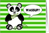 What’s Up, WASSUP - Humor - Panda Bear card