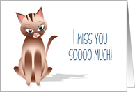 Miss You - Kitty Cat - Tear in eye card