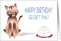 Happy Birthday Secret Pal - Kitty Cat - Birthday Cake with candles card