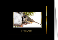 Titmouse - Blank Card - Black/Gold card