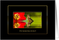 Hummingbird, Red Flower - Blank Card - Black/Gold card