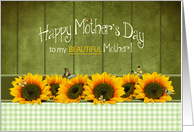 MOTHER’S DAY, MY Mom, Sunflowers, Butterflies and Green Gingham card