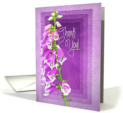 Thank You, Blank,Purple/Lavender, Foxglove Flower card (1477206)