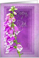 Thinking of You, Blank,Purple/Lavender, Foxglove Flower card