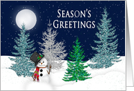 Christmas, Season’s Greetings - Night Snow scene with snowman card