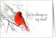 You’re always on my mind - Red Cardinal - Snow scene card