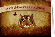 Birthday, Abstract Tiger in the bush card