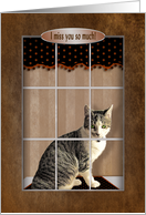 Miss You, Cat sitting in Window card
