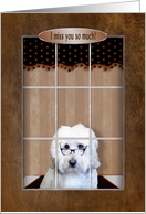 Miss You, Golden Doodle looking out Window card