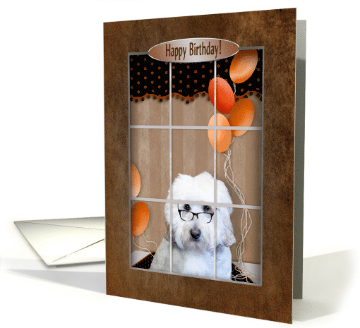 Birthday, Golden Doodle looking out Window card (1519446)