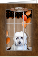 Birthday, Golden Doodle looking out Window card
