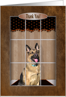 Thank You, German Shepherd looking out Window card