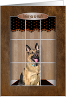 Miss You, German Shepherd looking out Window card