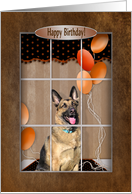 Birthday, German Shepherd looking out Window card