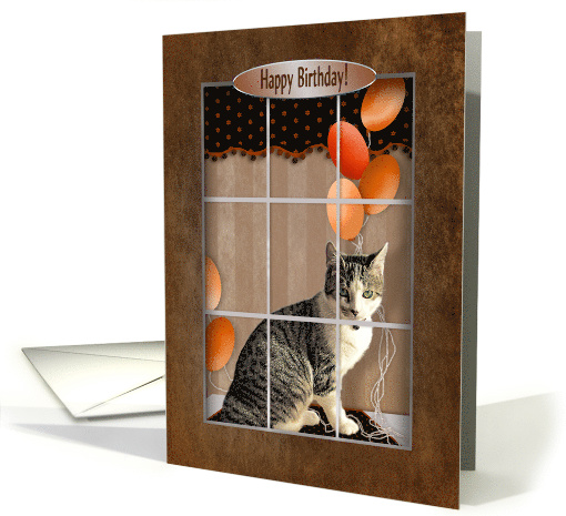 Birthday, Sweet cat with green eyes looking out Window card (1519470)
