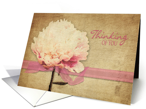 Thinking of You - Peony Textured Flower with ribbon -... (1519708)