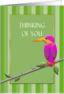 Thinking of You, Fuchsia Tropical Bird, Kingfisher, Blank Inside card