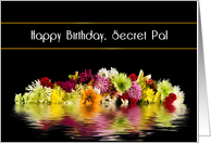 Birthday, Secret Pal...