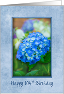 104th Birthday, Lady, Hydrangea with 3D Effect within Blue Frame, card