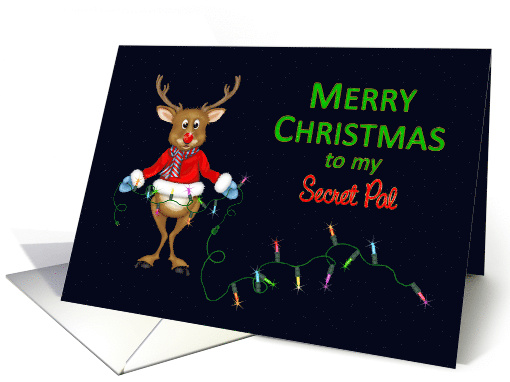 Christmas, Secret Pal, Red Nose Reindeer Sorting Christmas Lights card
