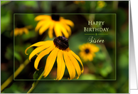 Birthday,Sister, Bright Vivid Yellow Black-eyed Susan Daisy card
