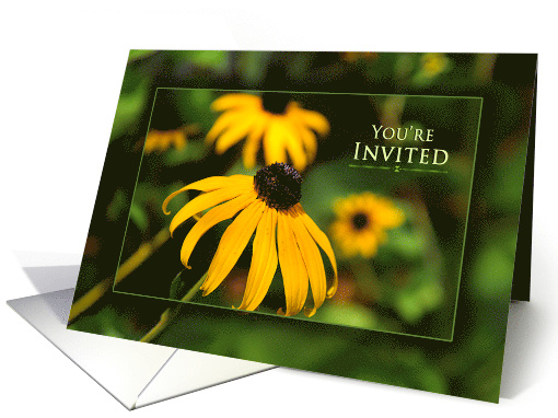 You're Invited, Bright Vivid Yellow Black-eyed Susan Daisy, Blank card