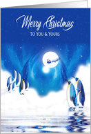 Christmas, Artic Lights,You & Yours PenguinsViewing Santa and Reindeer card