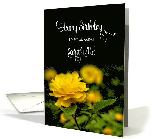 Birthday, Secet Pal, Bright Yellow Full Bloom Rose,Black... (1569472)