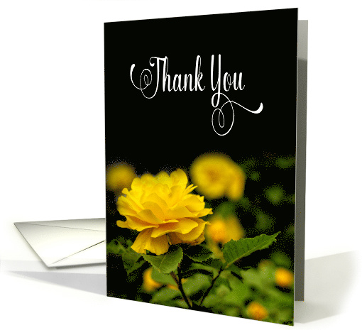 Thank You, Bright Yellow Full Bloom Rose, Blank Inside card (1569482)