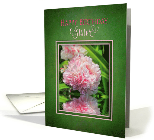 Birthday, Sister, Large Garden Pink Peony Flower card (1571542)